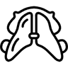 Ortopedia Maxilar